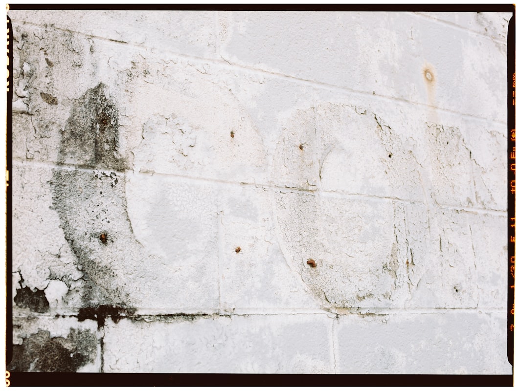 Mold Remediation service in Springfield, MA